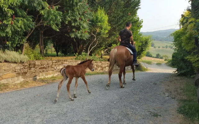 Agriturismo Corte del Gallo