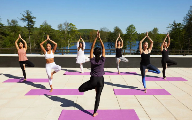 YO1 Longevity & Health Resorts, Catskills