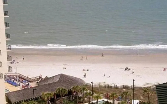 RedAwning Royale Palms 1003