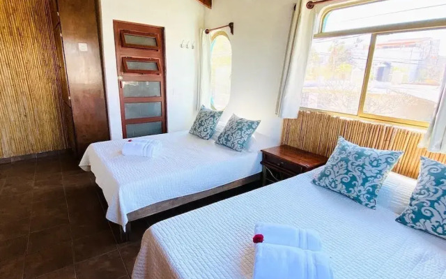 CABO BOHEMIA Tropical Garden Studios