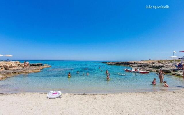 Appartamento Pineta Mare