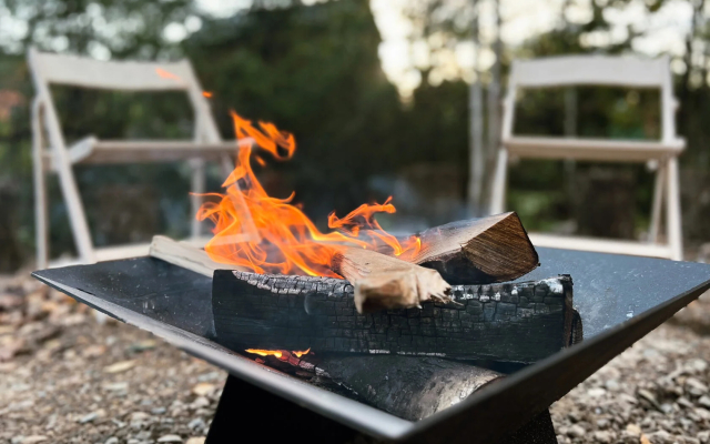 Pine Forest(Хвойный лес)