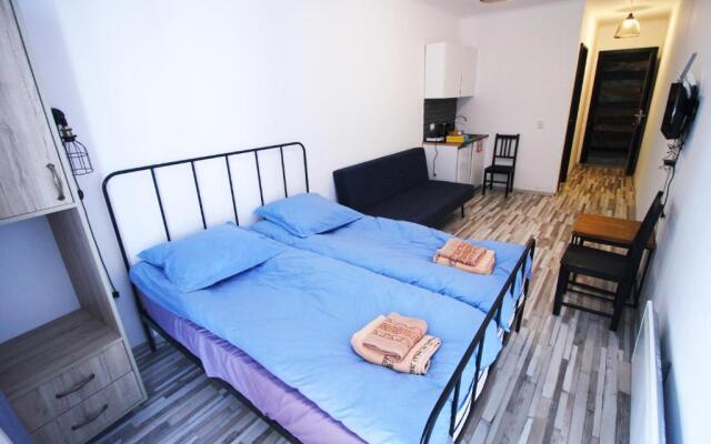 Apartment N107 Gudauri Loft