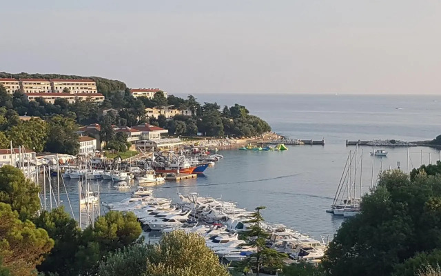 The Istrian