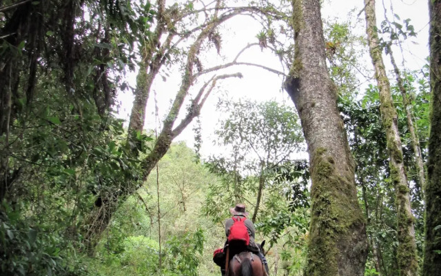 Finca Los Arboles