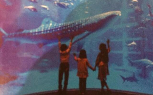 Hills 1 (Adult Only)