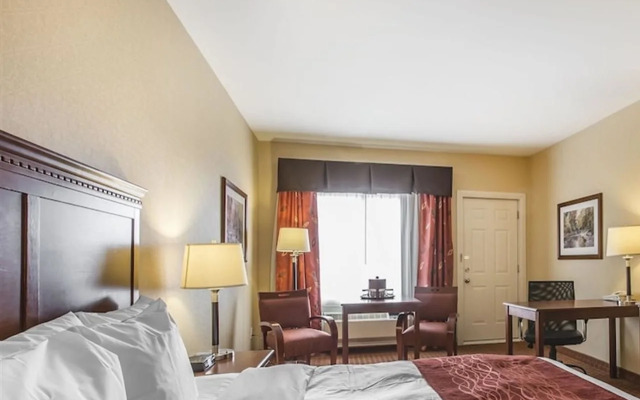 Comfort Hotel Airport