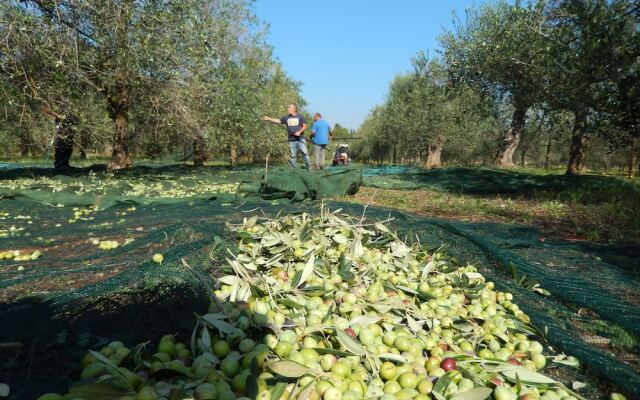 Villa Casole Short Lets