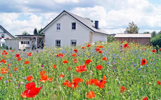 Winterberg Chalet 21096