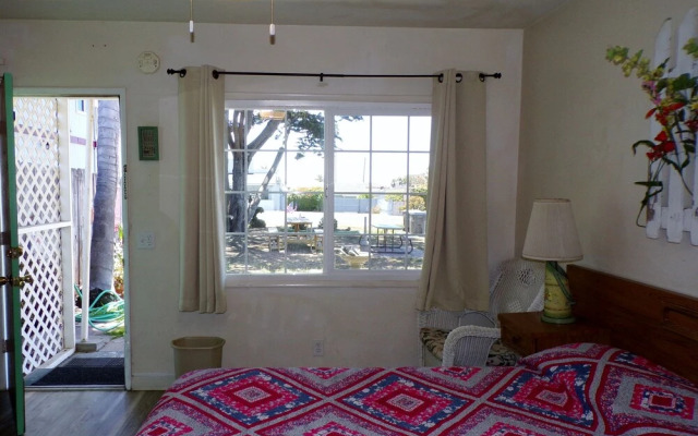 Cypress Tree Motel