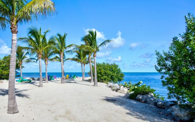 Aqua Lodge Rentals At Coconut Cay