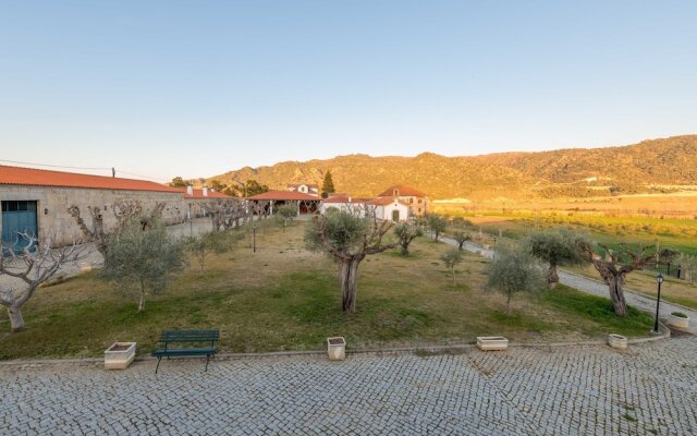Holiday Home on Estate With Vineyards, Olive Groves and Swimming Pool