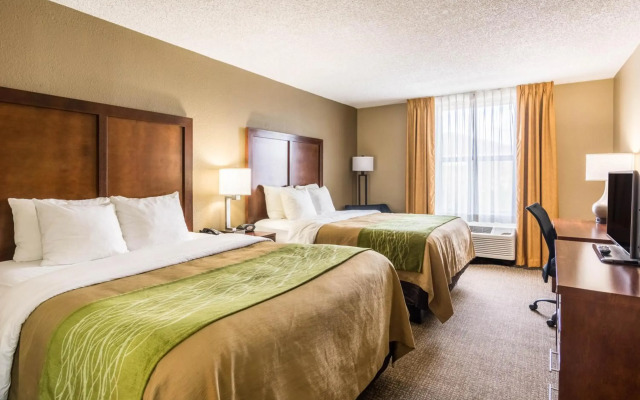 Comfort Inn & Suites