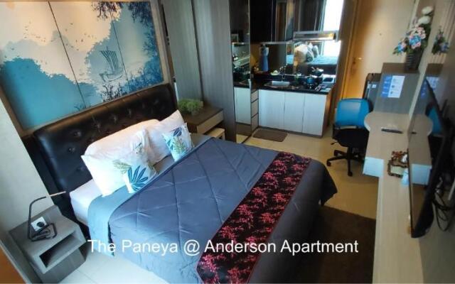 The Paneya @Anderson Apartment