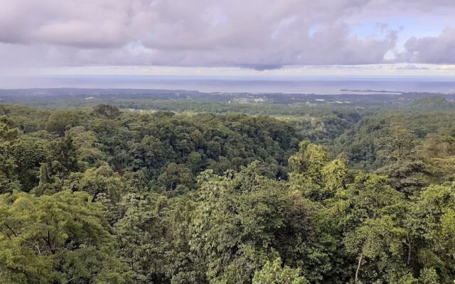 Dave Parker's Eco Lodge