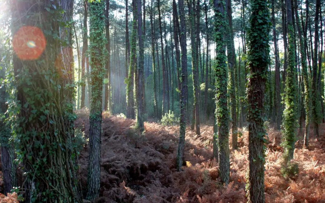 Villa de lEtang Blanc