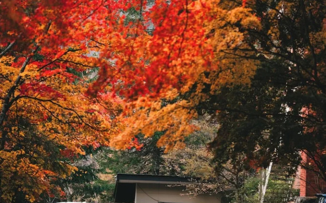 Okunikko Yumoto Onsen Yunomori