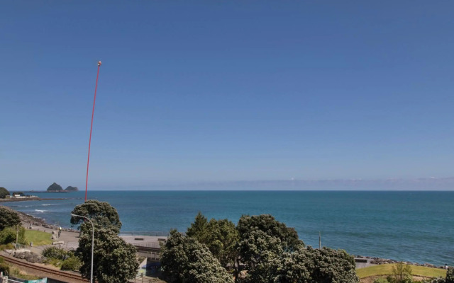 Quest New Plymouth