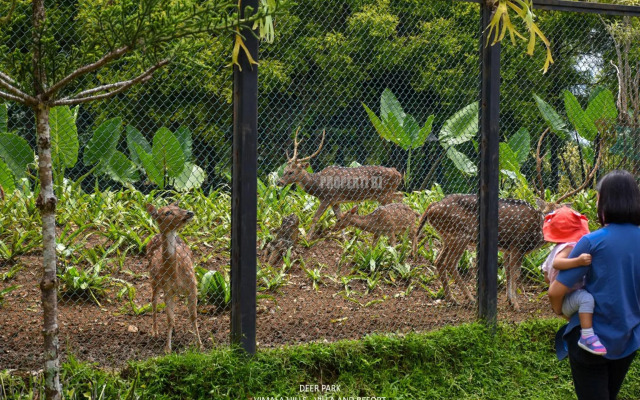 Vimala Hills Villa 2BR atau 3BR