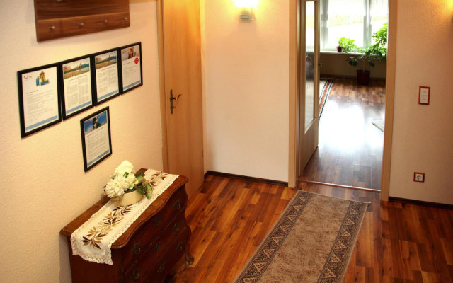 House Seagull, Mirow