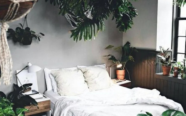 The Urban Jungle Hostel