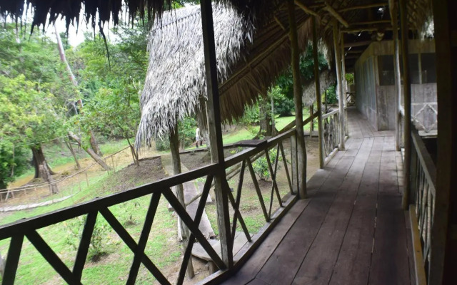 Lodge Jungle Wolf Expeditions