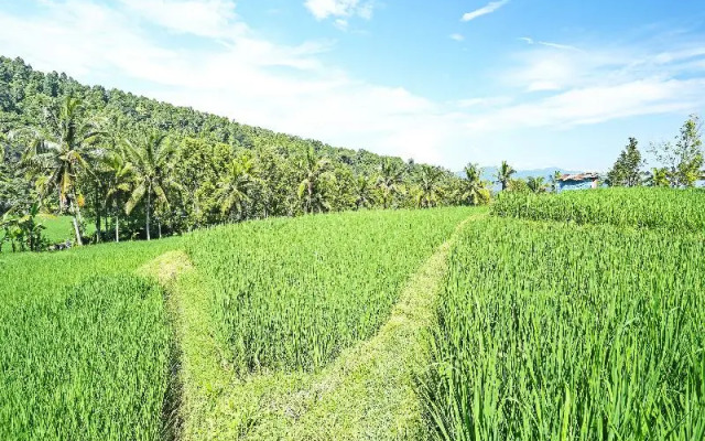 Oyo Homes 91094 Desa Wisata Banyuatis