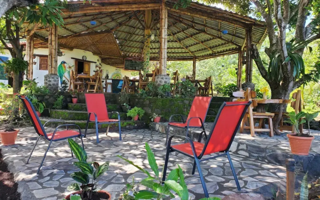 The Jungle