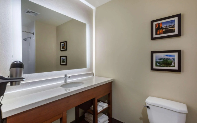 Comfort Suites Bowling Green Southeast