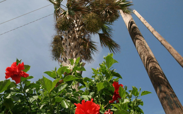 Hampton Inn & Suites Galveston