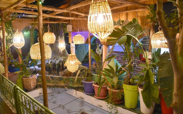 Riad Verus - Hostel - Adults Only