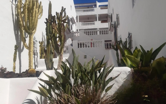 Sunny Tenerife, Los Cristianos, Studio