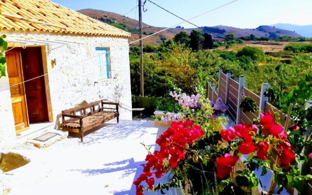 The House. Light & Stone.