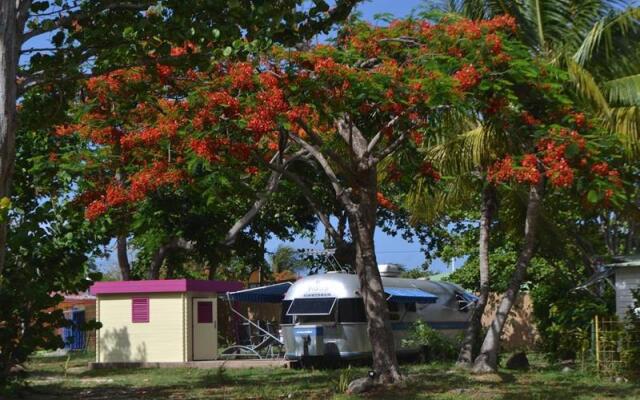 Airstream Paradise