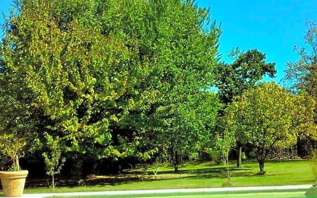 les trésors de malle mialle