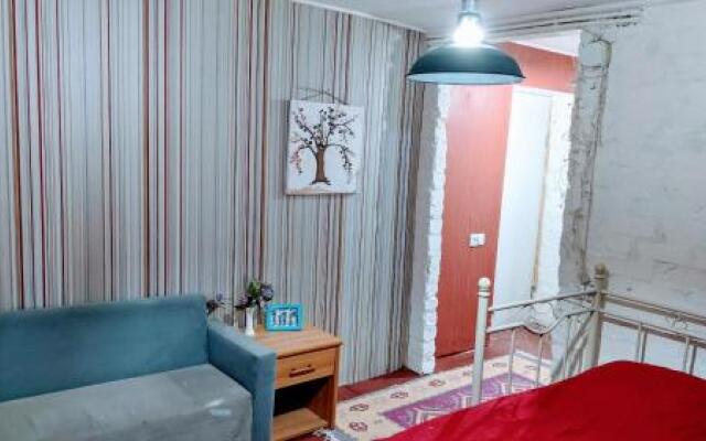 White Shino Hostel