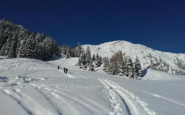 Ferienwohnung Raunegger