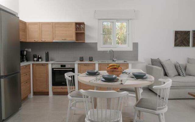 Naxos Infinity Villa and Suites