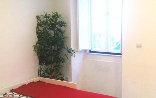 New House Design, Typical Lisbon