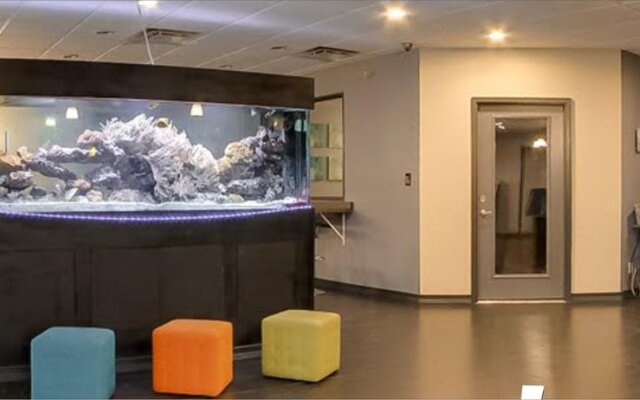 Emerald Coast Inn & Suites