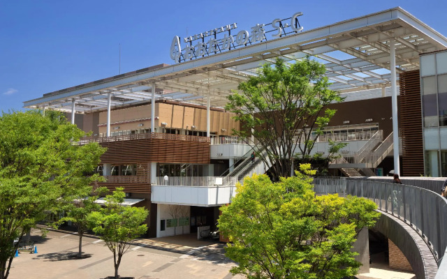 Toyoko Inn Nagareyama-Otakanomori Ekimae