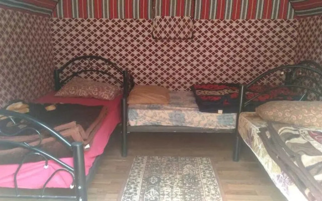 Bedouin habits tours camp