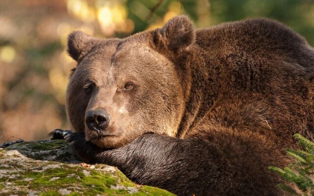 Hotel Gasthaus Zum Kellermann