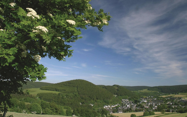Best Western Plus Hotel Willingen