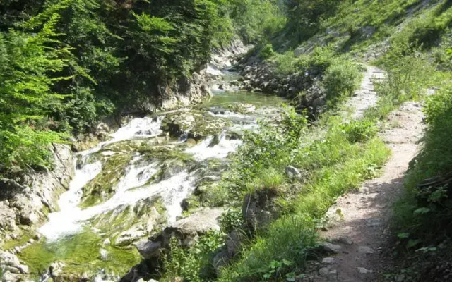 Ferienhaus Erlaufboden