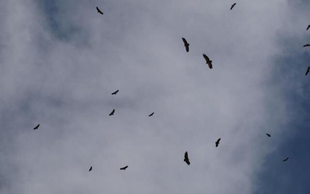 Albergue Fresno de Cantespino - La Tormenta