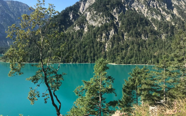 Pony-Ziegen-Hasen-Ranch Bichlbach