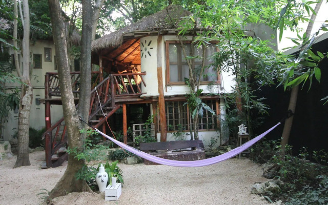 Eco Lodge Shalala