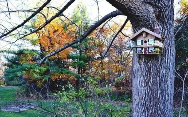 Toronto West KOA