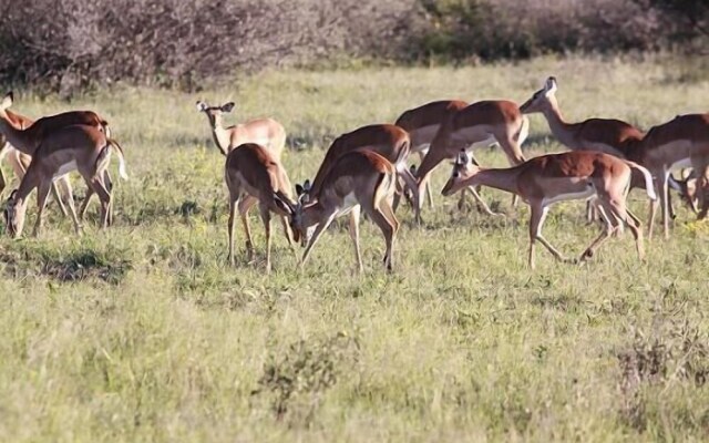 Khama Rhino Sanctuary